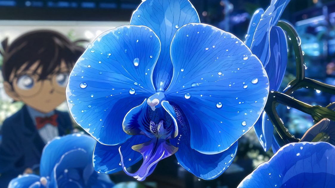 香蕉视频